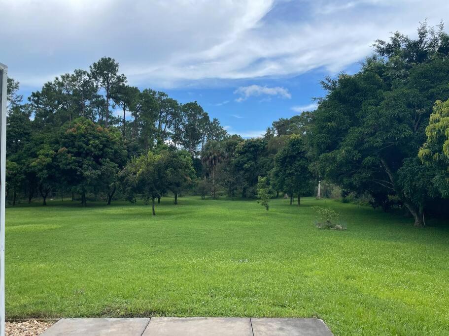 La Finca... Beautiful Countryside Home ! North North Naples Eksteriør billede